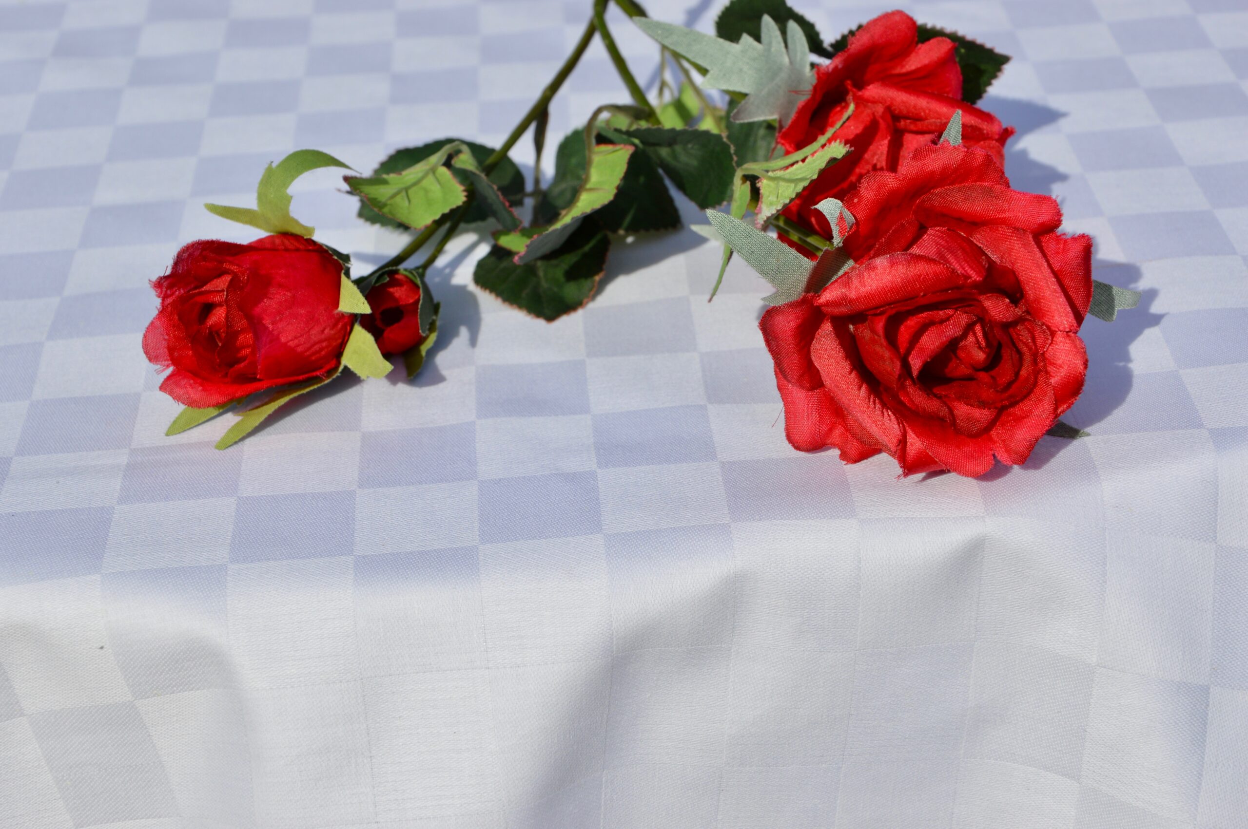 Read more about the article Kör damaszt terítő – a kerek asztalokra
