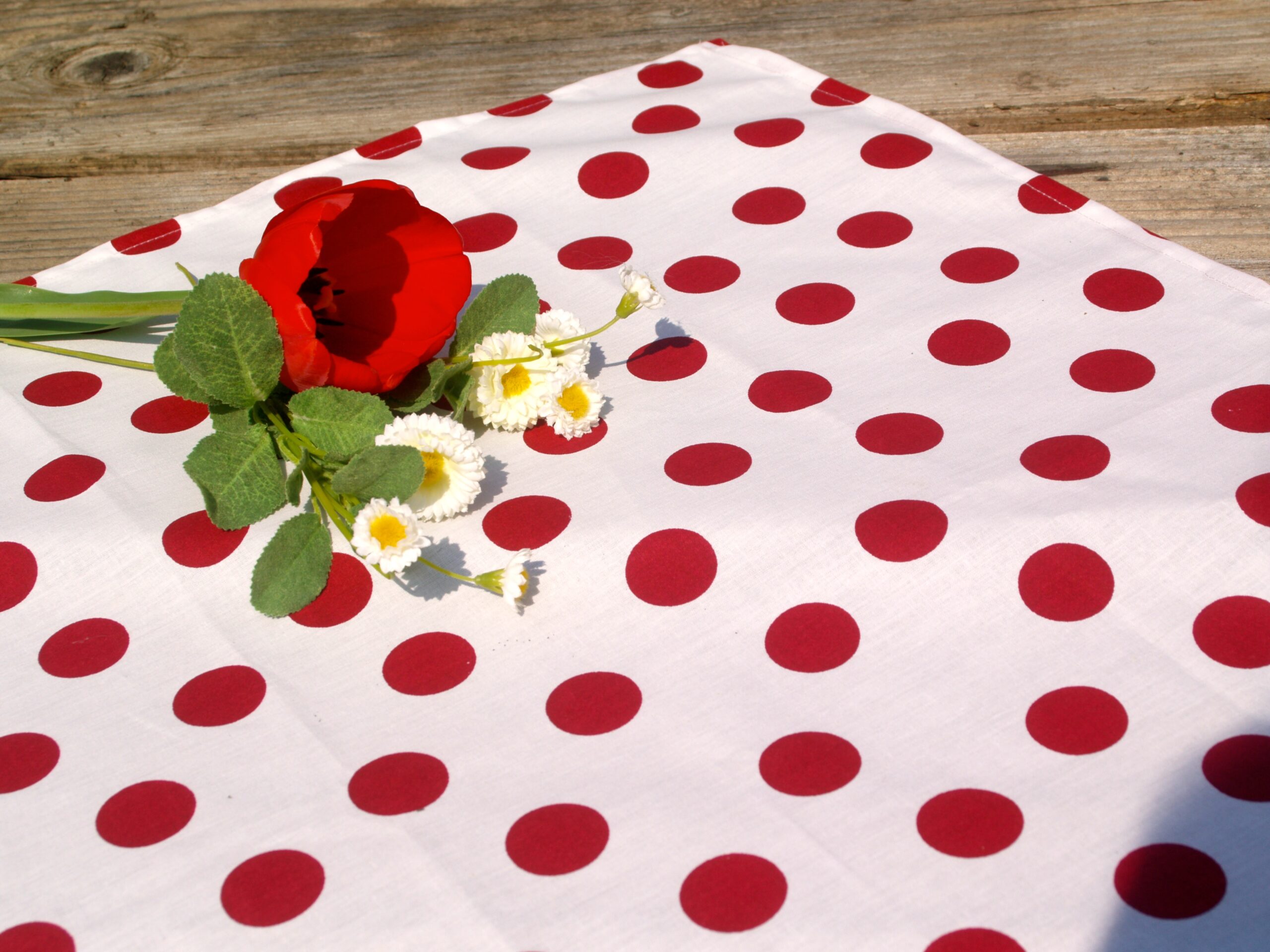 Read more about the article Pöttyös konyhai textilek – piros alapon fehér pöttyösek